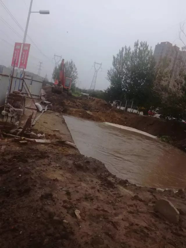 1501726447796310.jpg 2.jpg