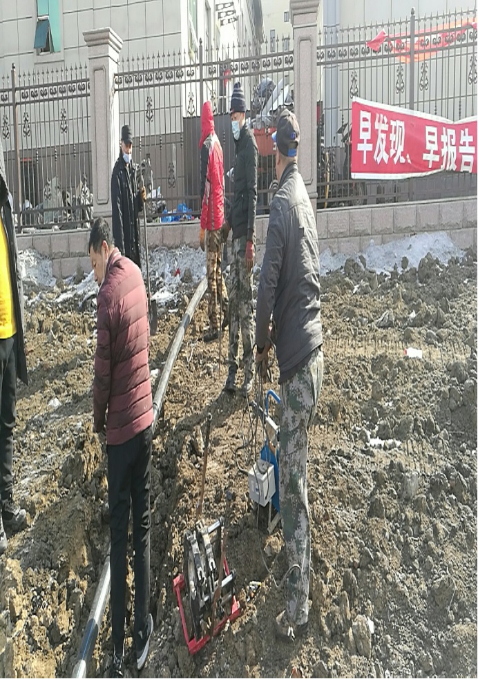 1585102407843567.jpg 1585102407843567.jpg